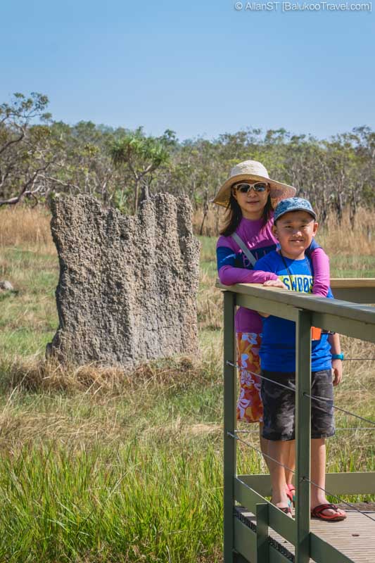 Magnetic Termite Mounds