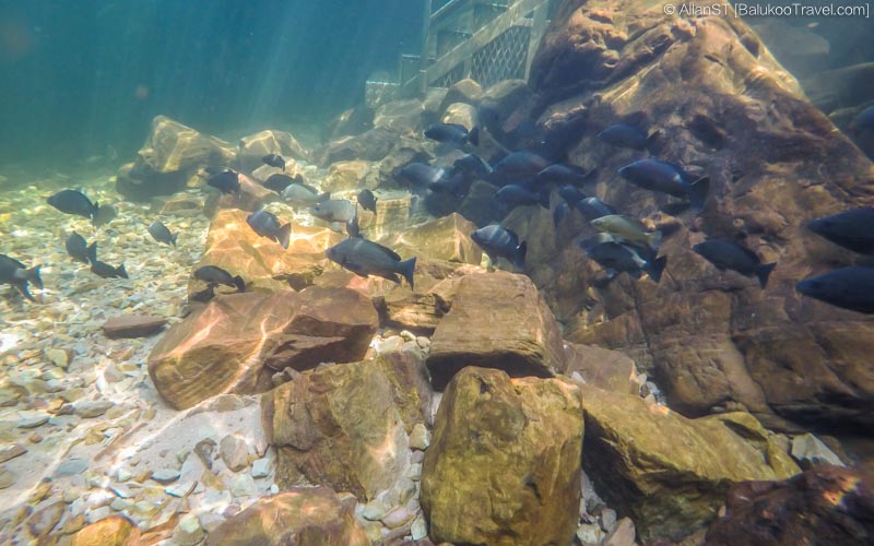 Litchfield National Park Travel Blog