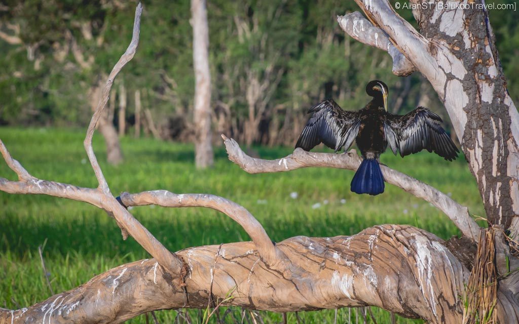 10-Days itinerary for Darwin