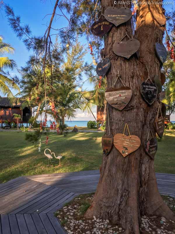 Love Tree at The Reef Resort Love Tree at The Reef Resort