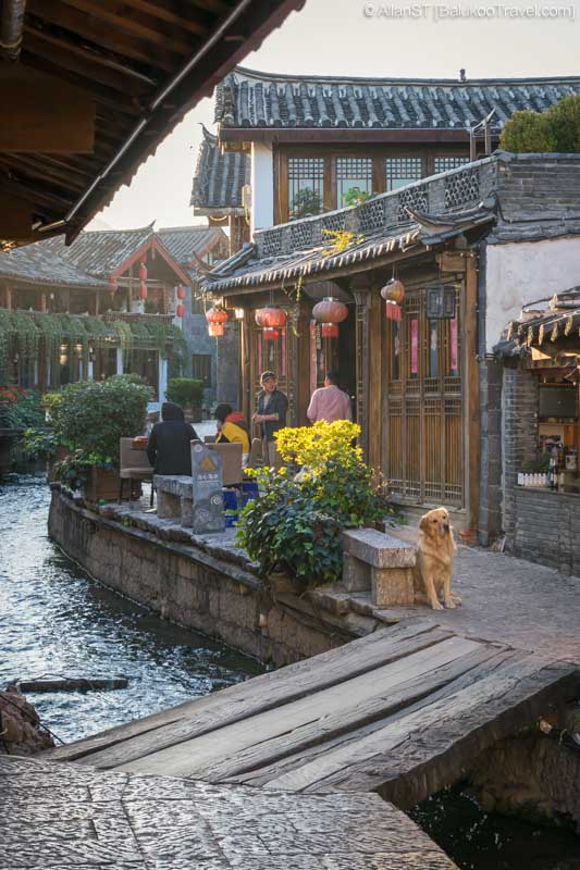 Lijiang Old Town 丽江古城