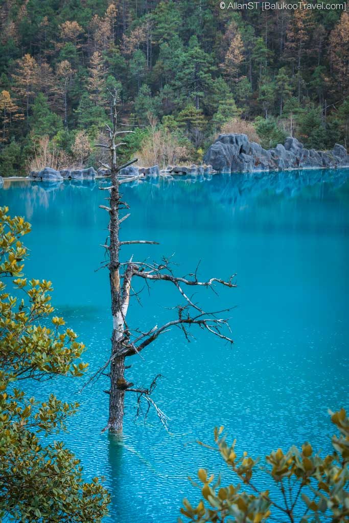 Jade-Like Wine Lake (YuYe Lake), Blue Moon Valley (Jade Dragon Snow Mountain) Jade Dragon Snow Mountain, YuLong Snow Mountain (玉龙雪山) (3 Must-See Places in Lijiang)