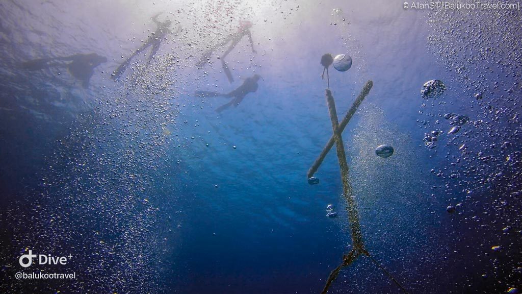 Dive Site: 十字架 (The Cross)
