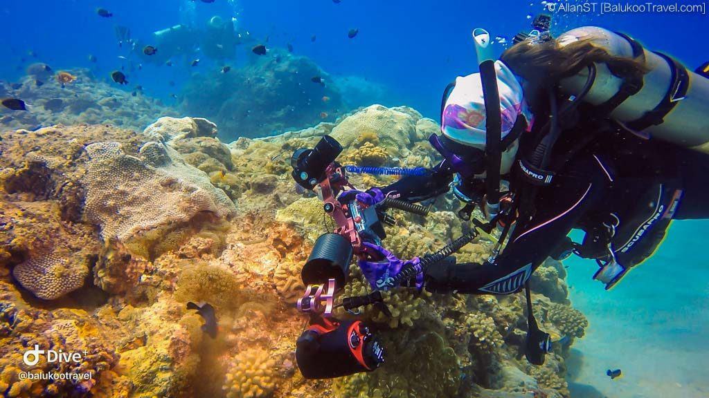 Scuba diving at Green island