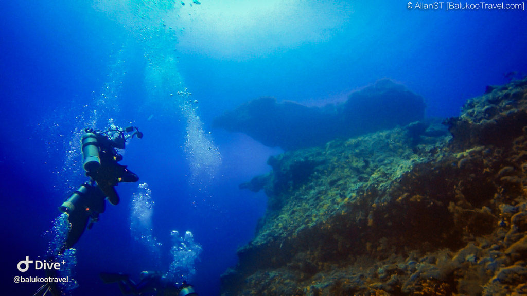 Dive Site: 雞仔礁 (Chicken Reef) (Green Island)