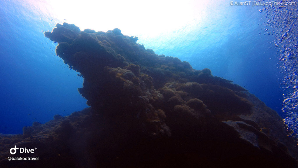 Dive Site: 大香菇 (Big Mushroom) (Green Island Scuba Diving VLOG)
