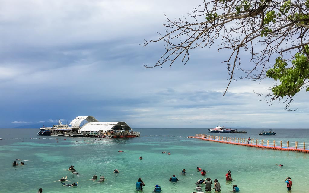 Pulau Payar snorkelling area. The floating platform is seen on the left.