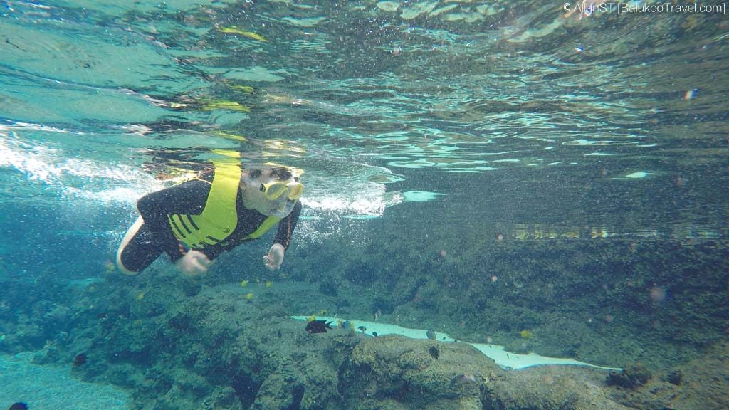 Experience snorkelling with tropical fishes at Rainbow Reef