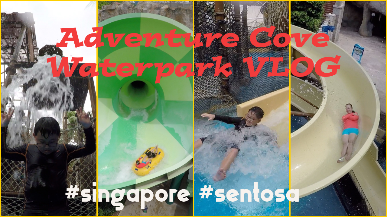 adventure cove waterpark vlog