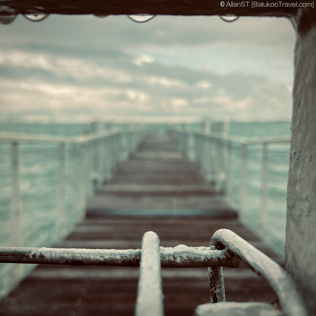 Infinity? (Chek Jawa Wetlands)