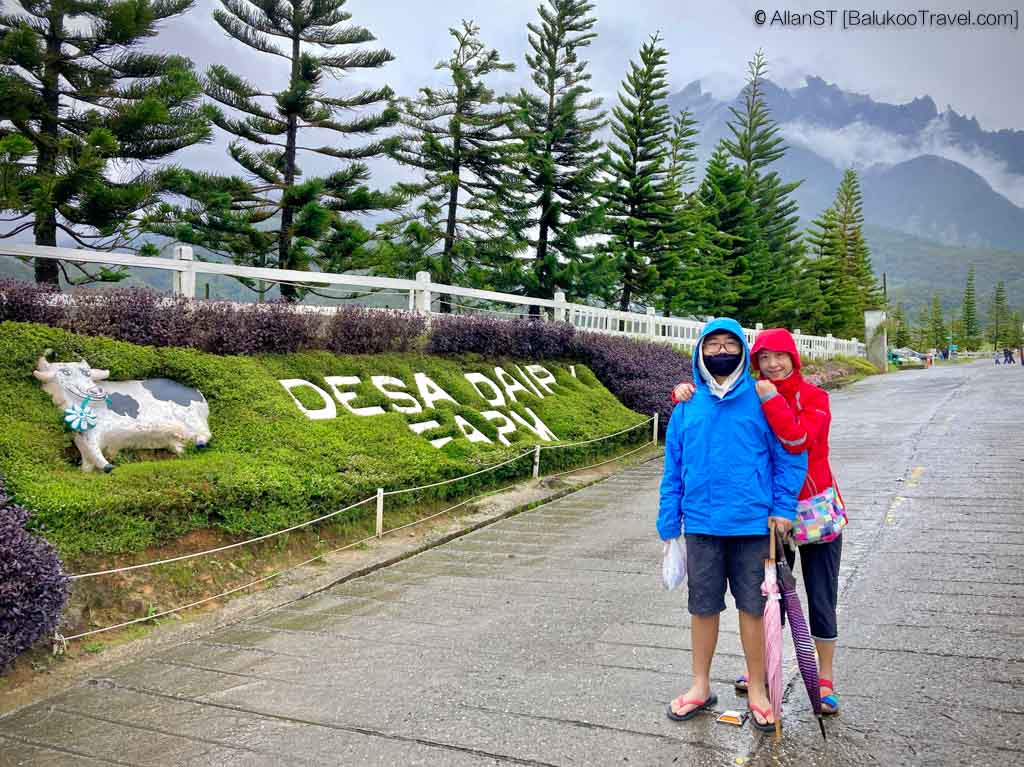 Desa Dairy Farm (Kundasang)