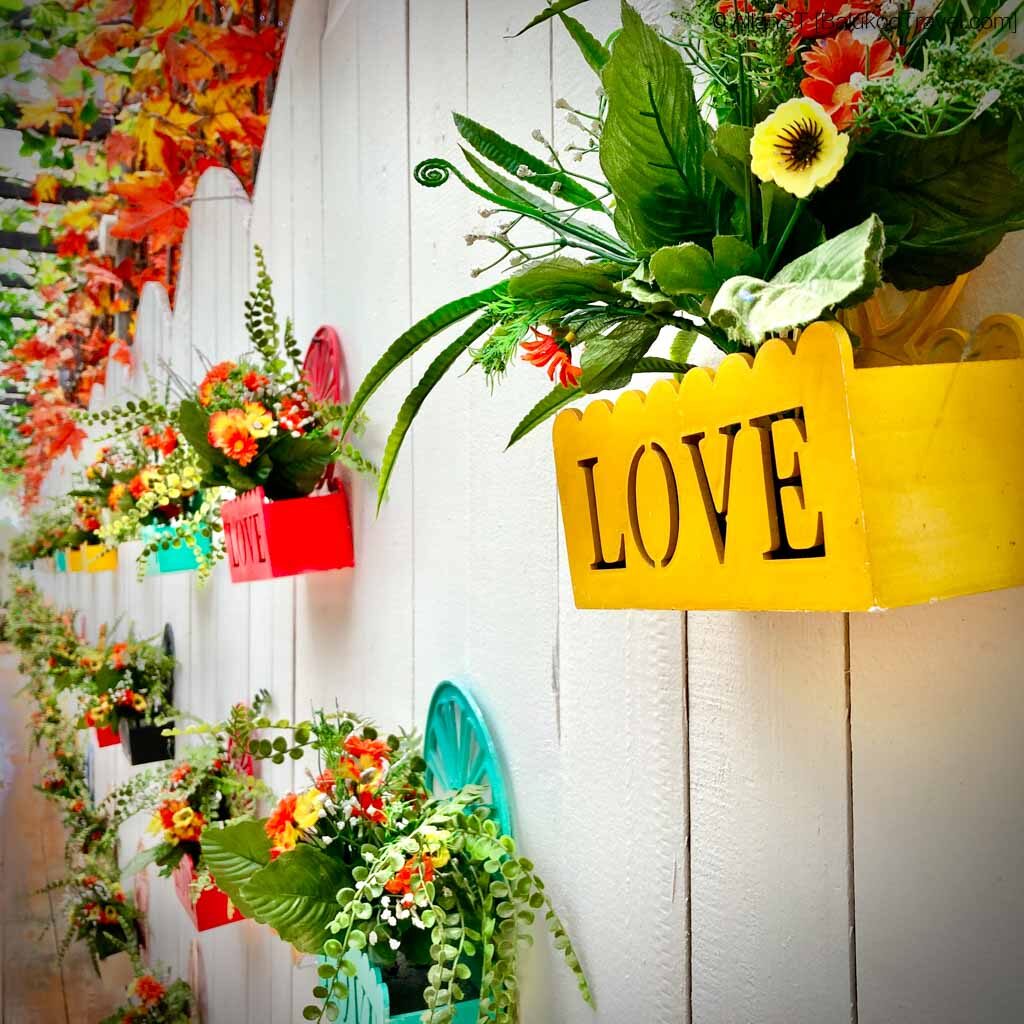 Things to do in Kota Kinabalu and Kundasang