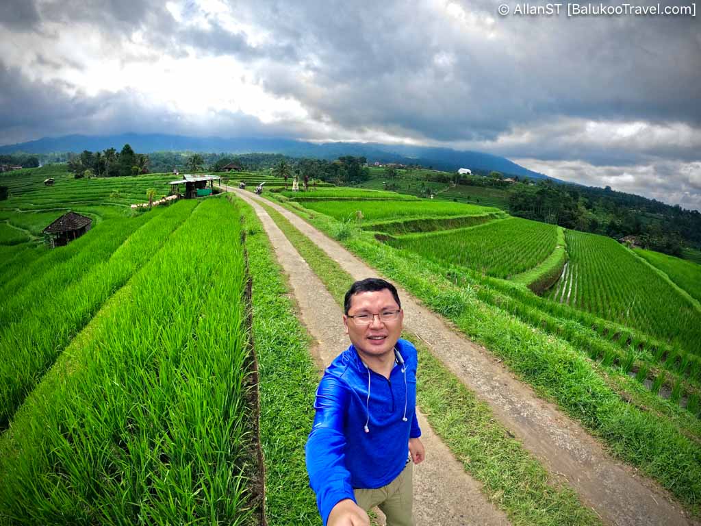 Jatiluwih Rice Terraces