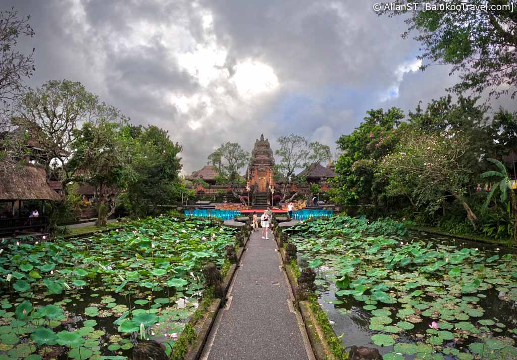 Lotus Pond at Saraswati Temple (aka Ubud Water Palace)