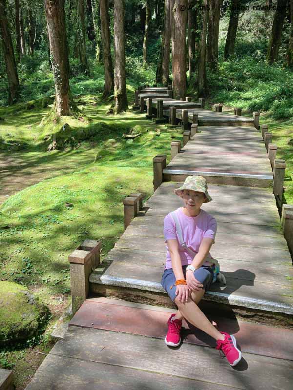 Alishan National Forest Recreation Area is the most famous and popular forest recreational area in Taiwan. (7 Days Self-Drive Central Taiwan Itinerary)