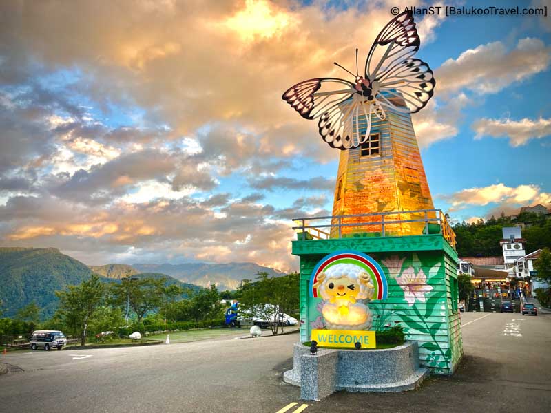 CingJing Farm 清境農場青青草原 (7 Days Self-Drive Central Taiwan Itinerary)