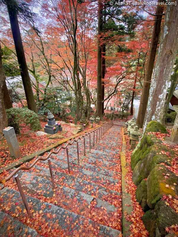 Raizansennyoji Taihioin Temple Raizansennyoji Taihioin Temple