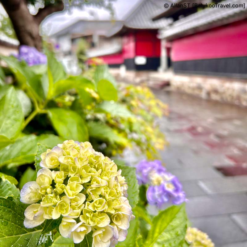 Goganji is a small and unique Buddhist temple in downtown Nakatsu City (Oita Prefecture). Goganji is a small and unique Buddhist temple in downtown Nakatsu City (Oita Prefecture).