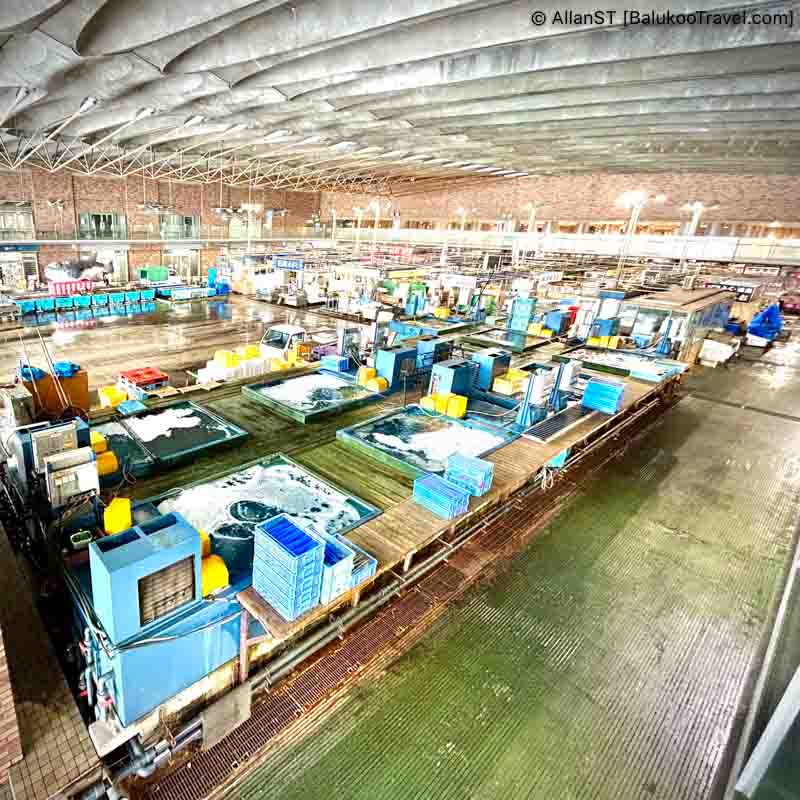 Wholesale and retail of seafood are available here at Karato Fish Market. Wholesale and retail of seafood are available here at Karato Fish Market.