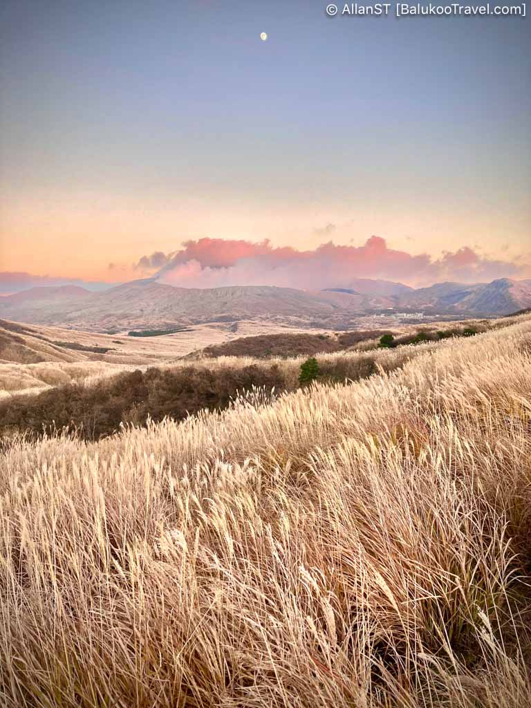 The plain offers stunning views of the surrounding volcanic peaks and is characterized by its rolling green fields dotted with grazing horses and cattle.