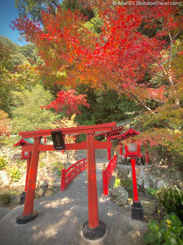 Beautiful torii gate in Umi Jigoku 海地獄