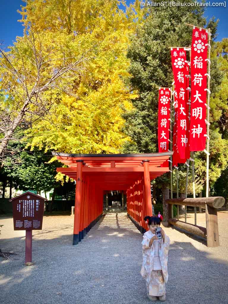 Stunning traditional Japanese landscape garden Stunning traditional Japanese landscape garden