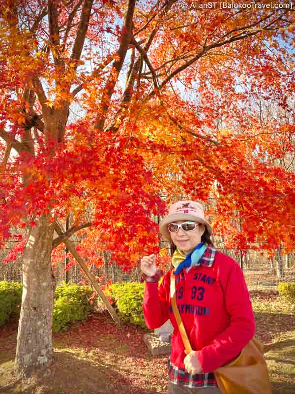 Autumn leaves at Kokonoe Yume Otsuribashi 