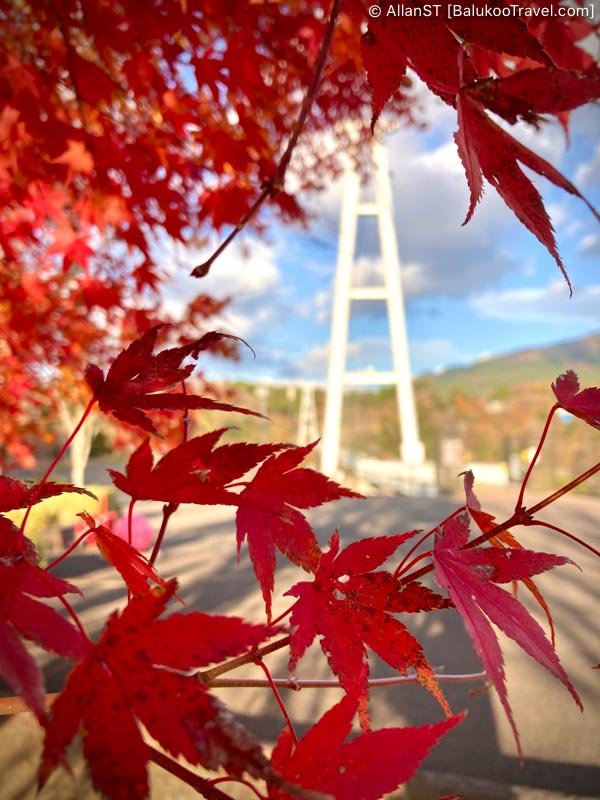 Autumn leaves at Kokonoe Yume Otsuribashi 