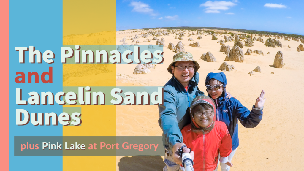 The Pinnacles, Lancelin Sand Dunes and Pink Lake (Western Australia)