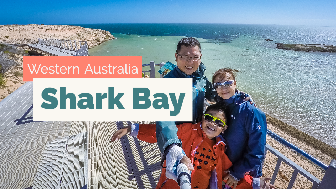 Things to do in Shark Bay (Western Australia)