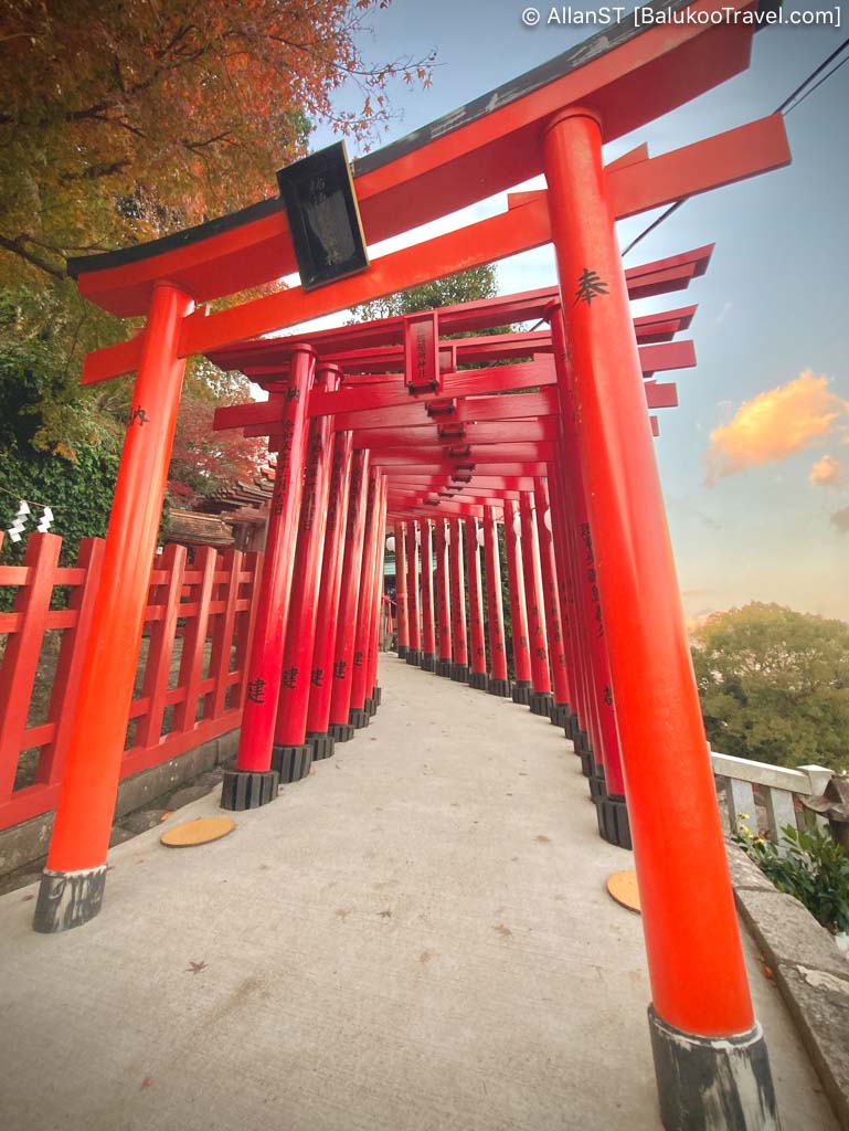 Row of torii gates