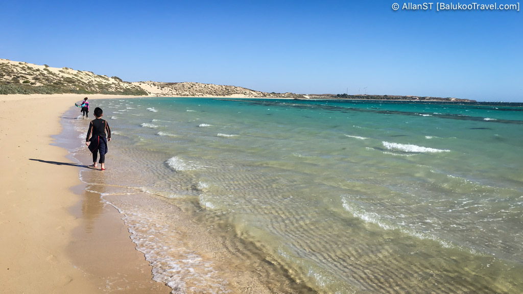 Reef Shark Sanctuary