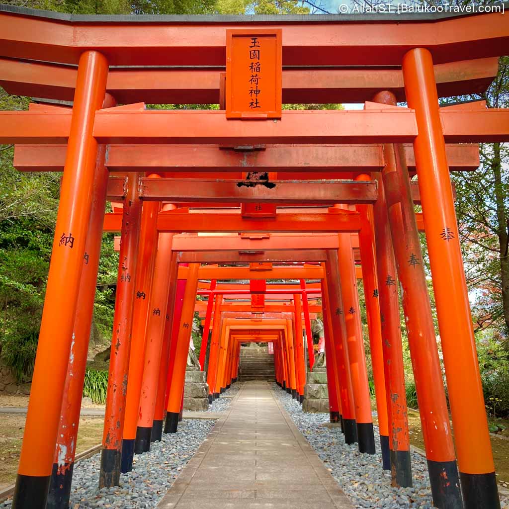 Suwa Shrine Suwa Shrine