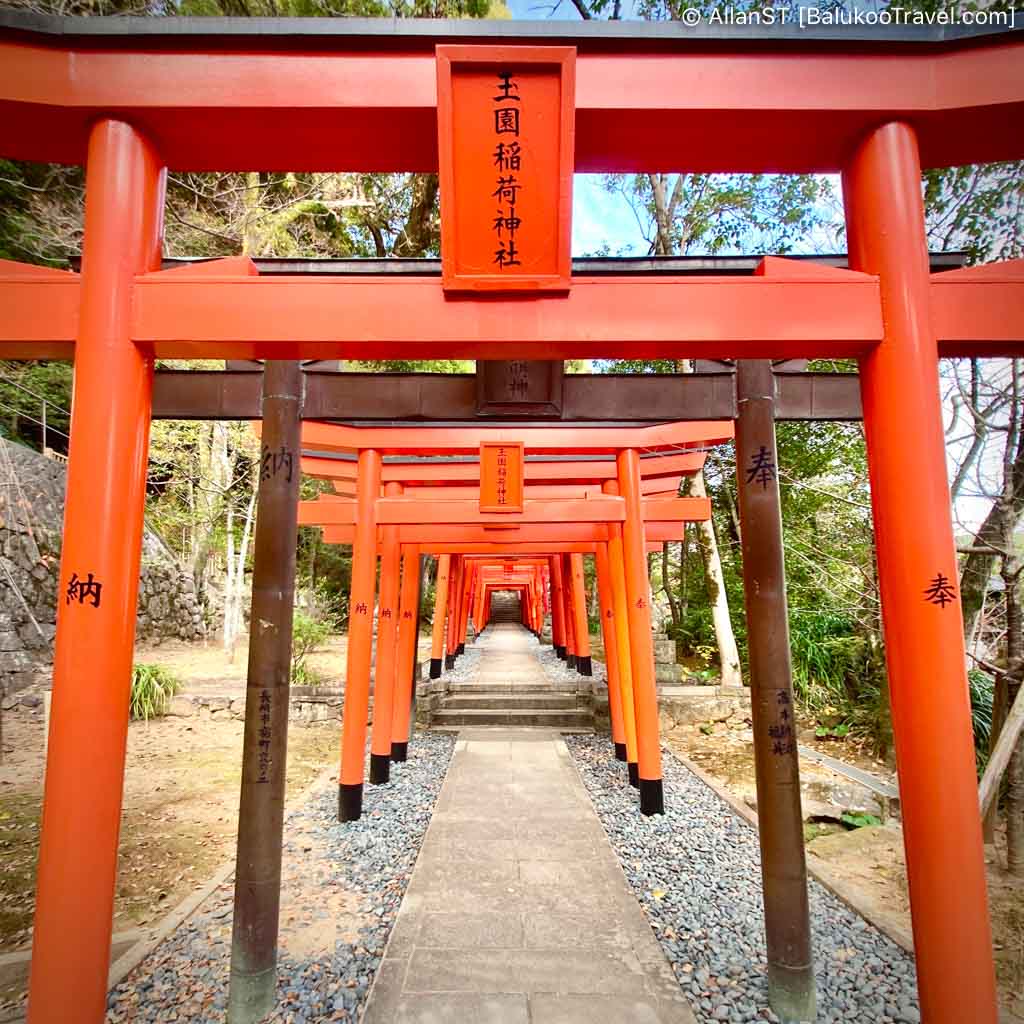 Row of torii gates at Suwa Shrine Row of torii gates at Suwa Shrine