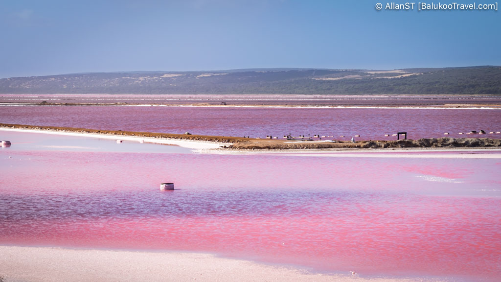 Hutt Lagoon (Pink Lake)