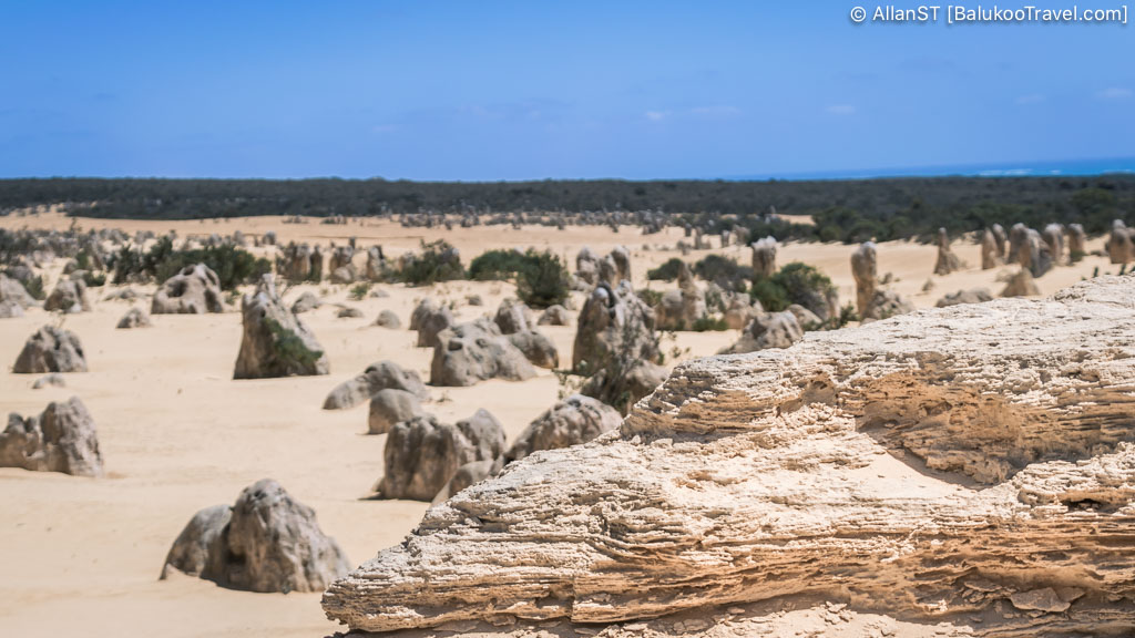 Exploring The Pinnacles (Nambung National Park)