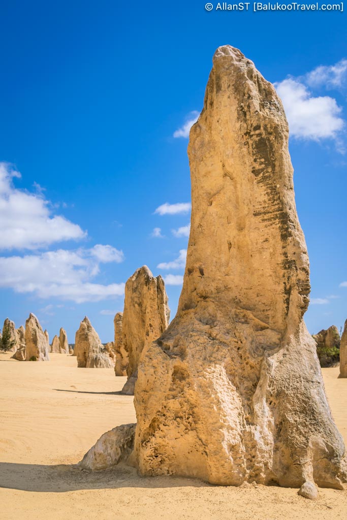The Pinnacles (Nambung National Park)