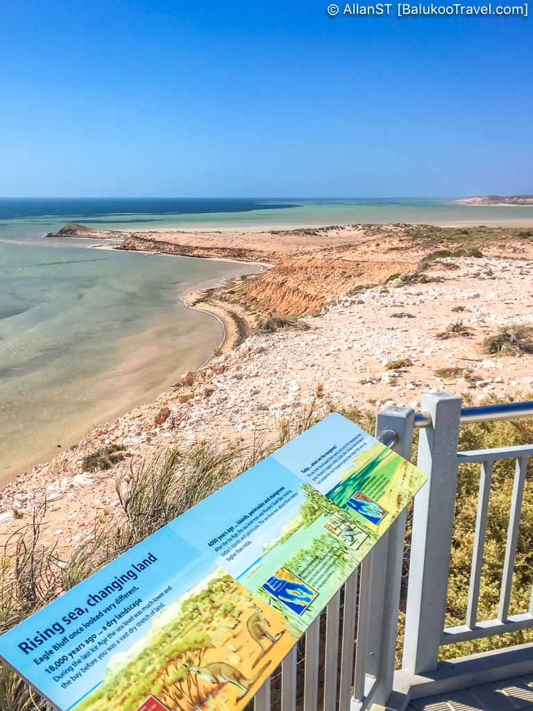 Excellent viewing point located at the top of a cliff, Eagle Bluff lookout (Shark Bay)