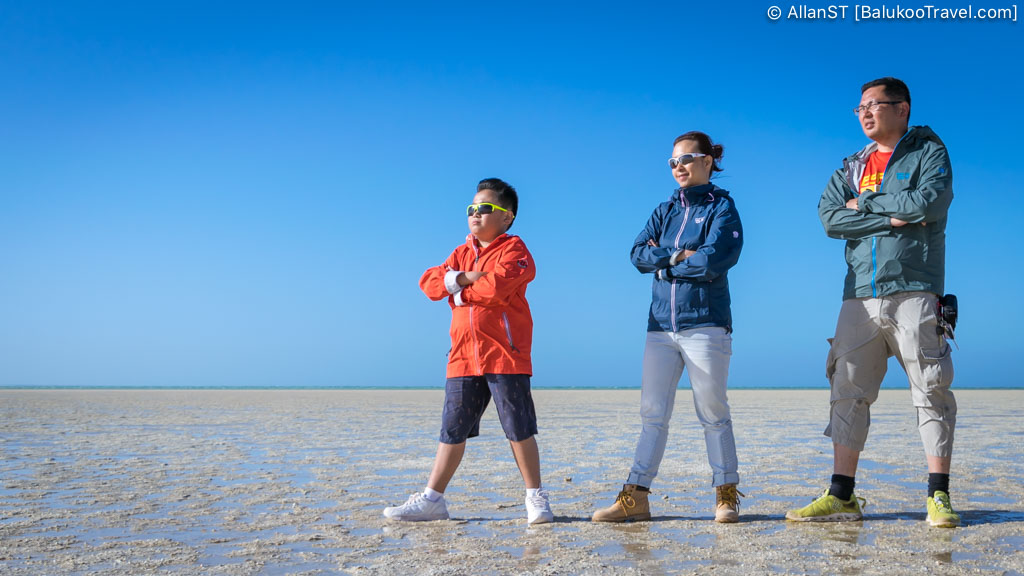 Shell Beach, Shark Bay