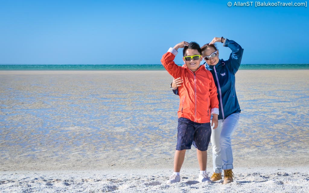 One of the few places on earth where visitors could marvel at entire shorelines made of cockle shells that can get up to 10m deep. (Shell Beach, Shark Bay)