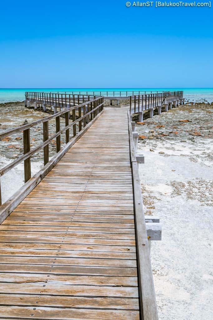 Hamelin Pool