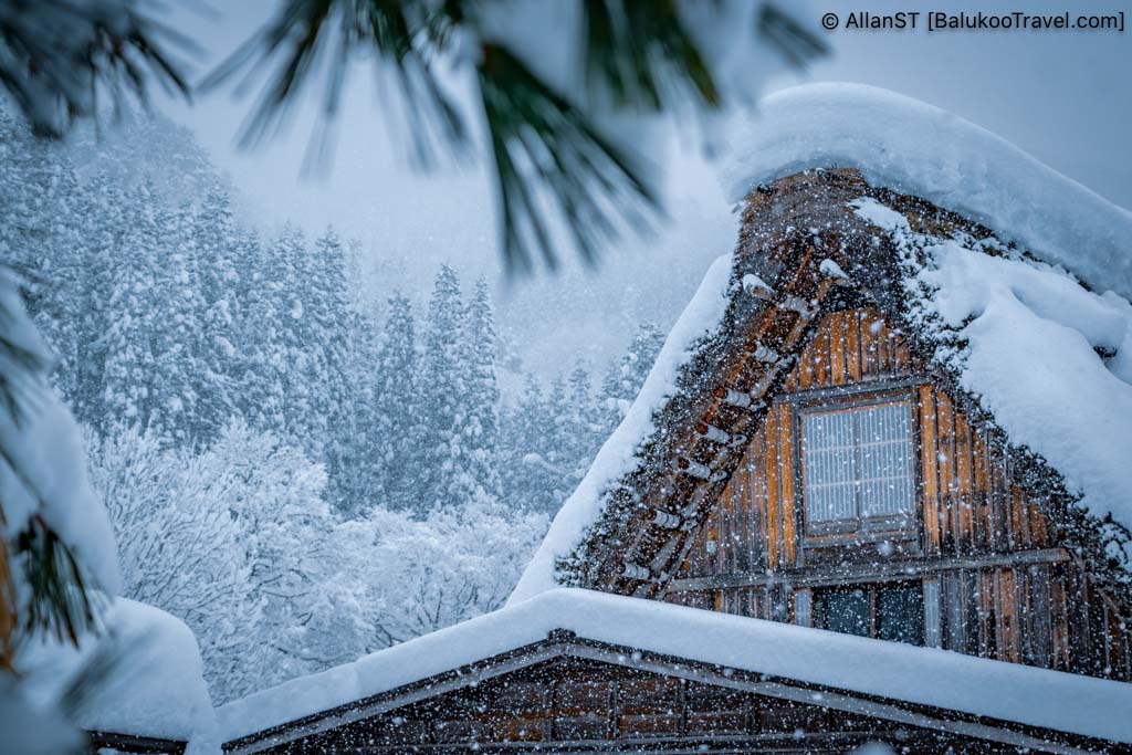 Charming gassho-zukuri huts in Shirakawa-go Charming gassho-zukuri huts in Shirakawa-go