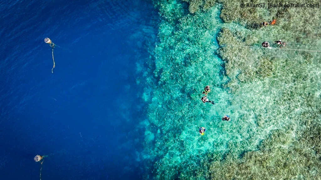 The underwater cliff (dropoff) at Panagsama Beach is very close to the shoreline and clearly visible here.