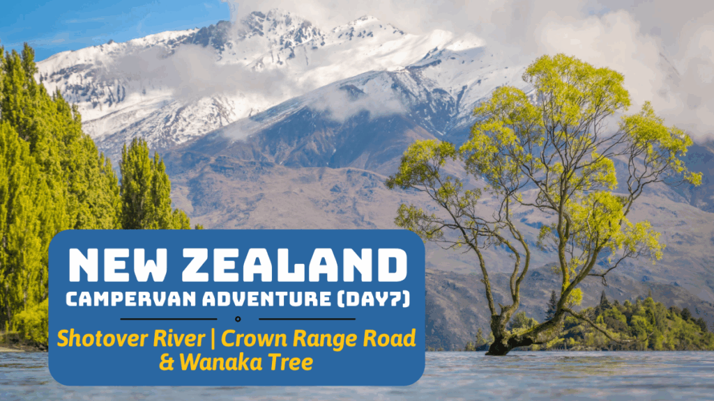 New Zealand (South Isle) Campervan Adventure – Day 7: Shotover River, Crown Range Road, Wanaka Tree