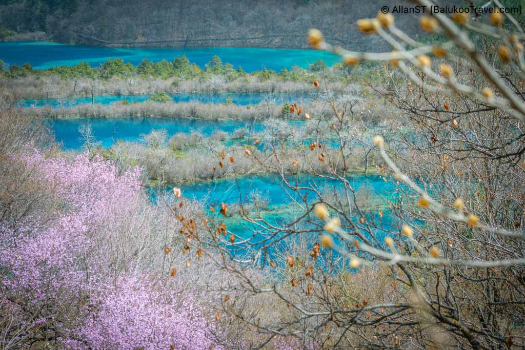 树正群海, Shuzheng Lakes