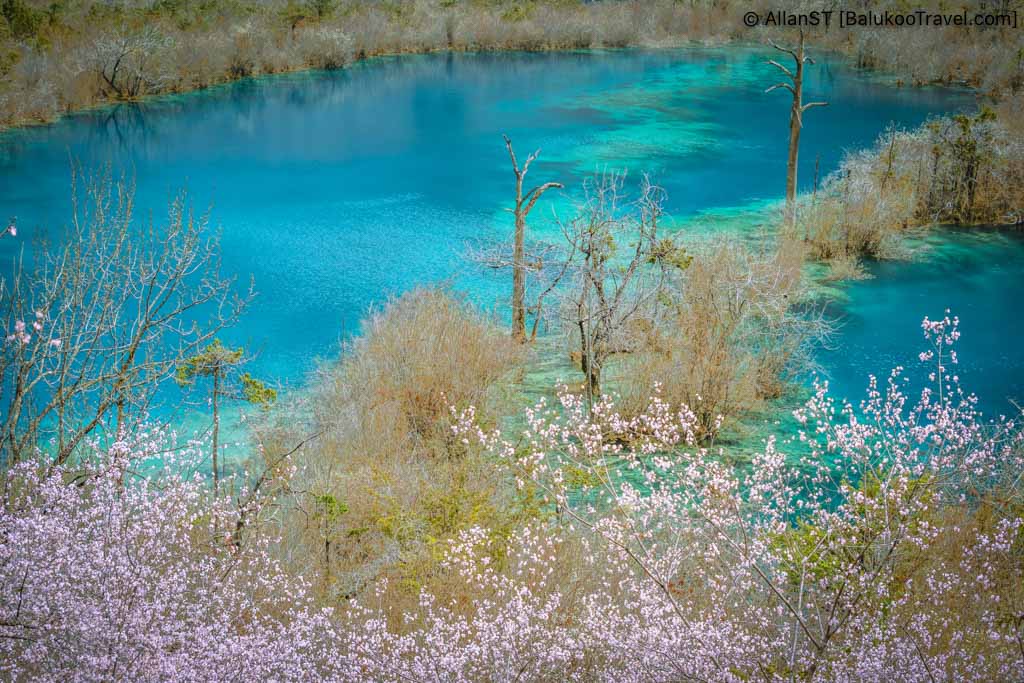 树正群海, Shuzheng Lakes