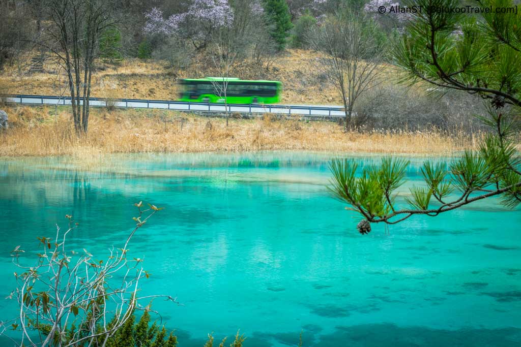 Jiuzhaigou Guide: Sleeping Dragon Lake (卧龙海) in Shuzheng Valley (树正沟)