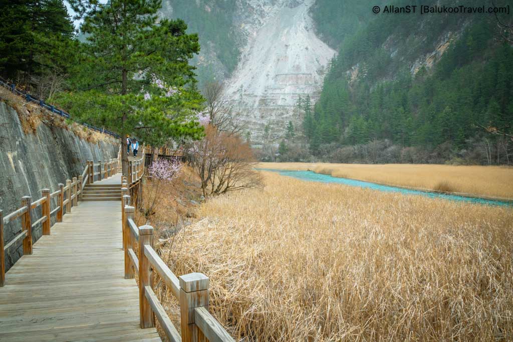 Reed Lake (芦苇海) in Shuzheng Valley (树正沟)