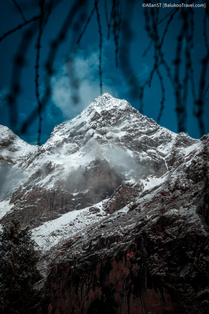 红杉林 (Redwood Forest) — Final / highest stop