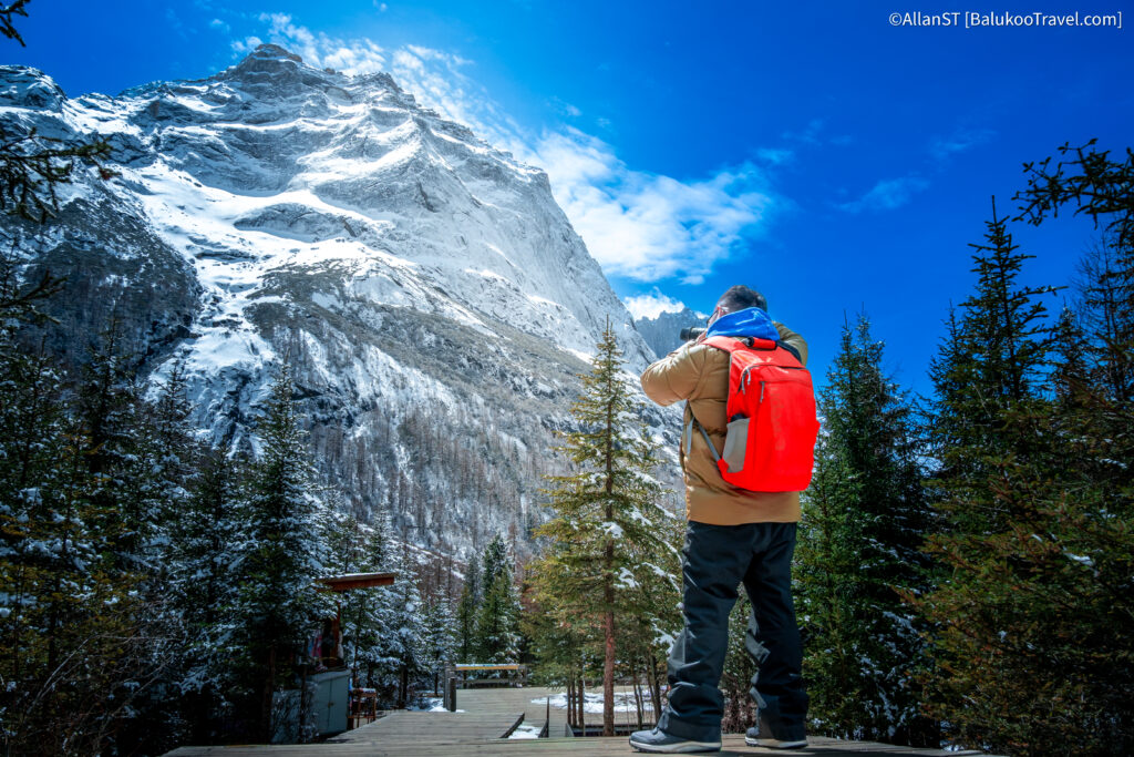 红杉林 (Redwood Forest) — Final / highest stop
